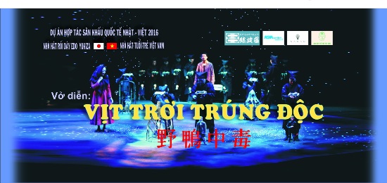 “Vịt trời trúng độc” đến Việt Nam